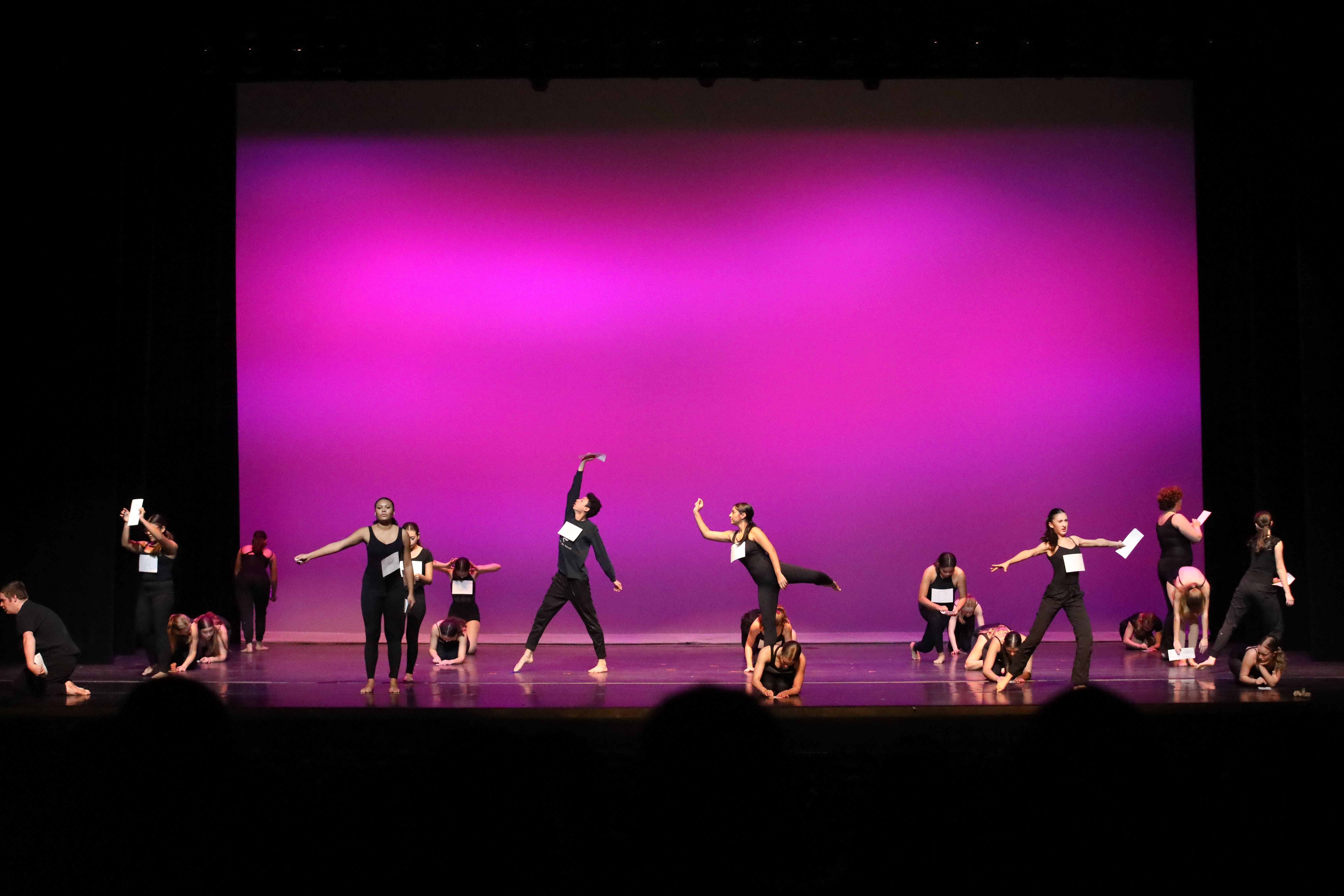 WWHS Dance Program Featured in 10th Annual Stage the Change Conference